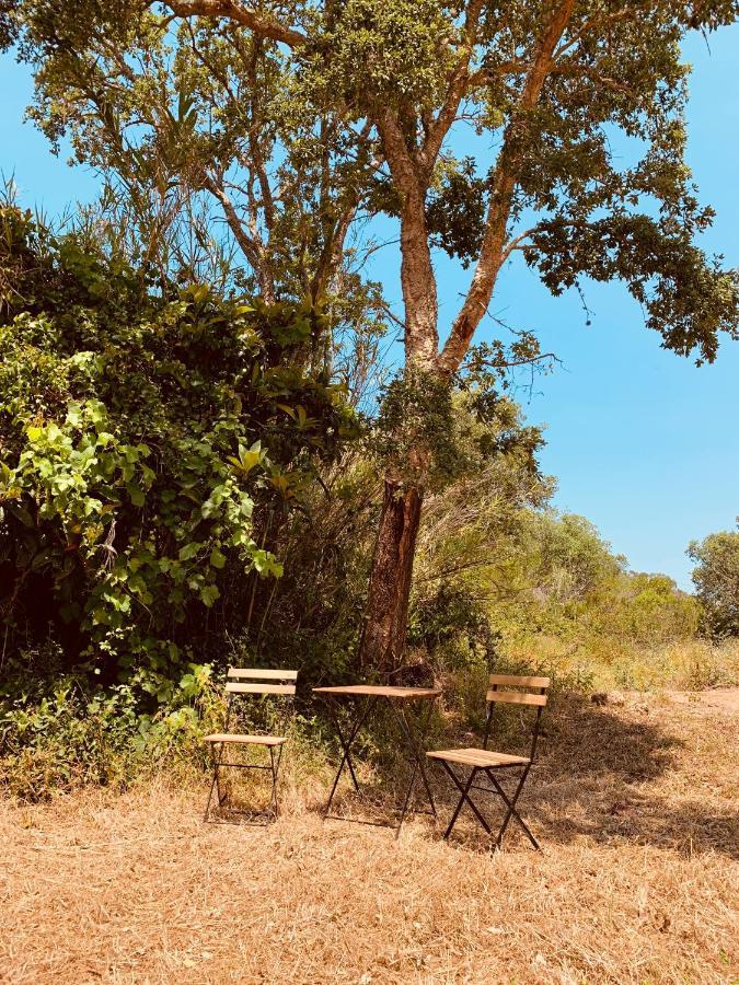 Private Eco Glamping In Aljezur Alfambras Hotell Exteriör bild